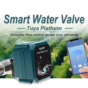 CQATMT Motorized Stainless steel 24V 240V CF8 wireless remote control electric valve