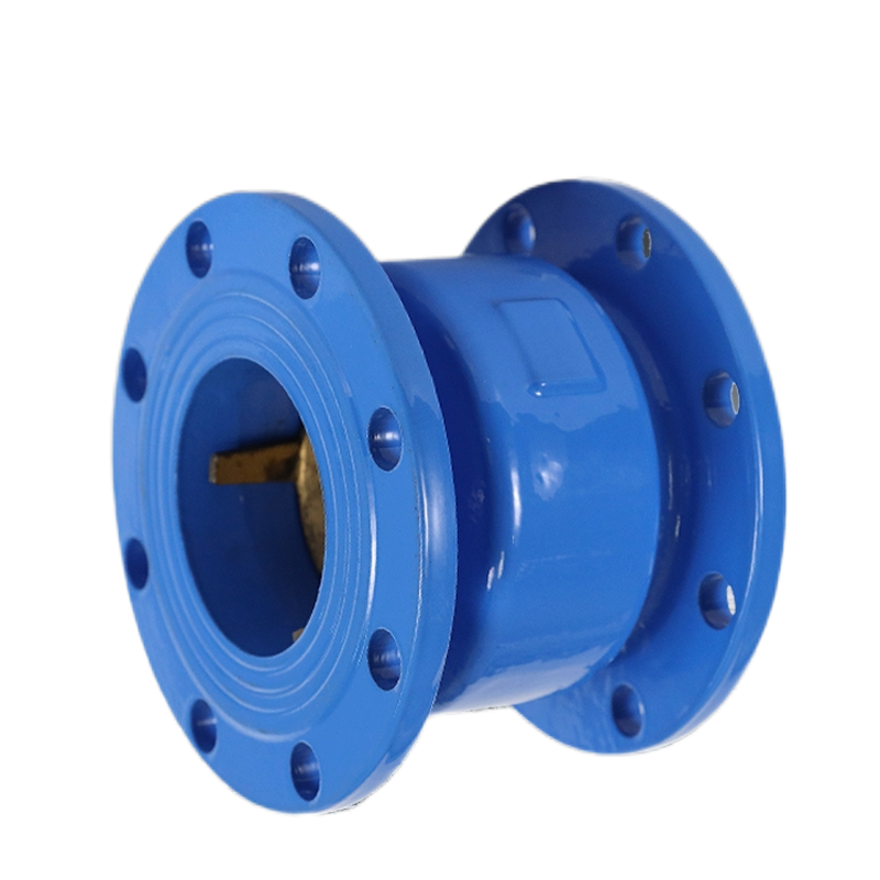 Factory wholesale DN50 DN65 DN80 DN100 hydraulic cast iron flange silencing, silent vertical, check valve