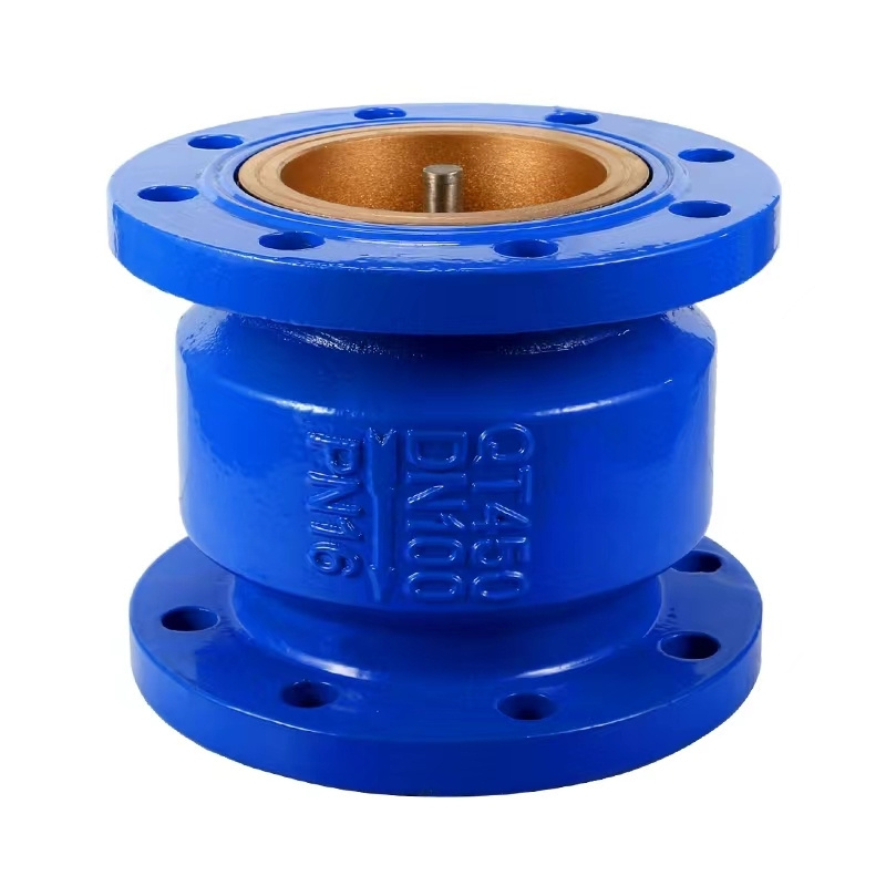 Factory wholesale DN50 DN65 DN80 DN100 hydraulic cast iron flange silencing, silent vertical, check valve