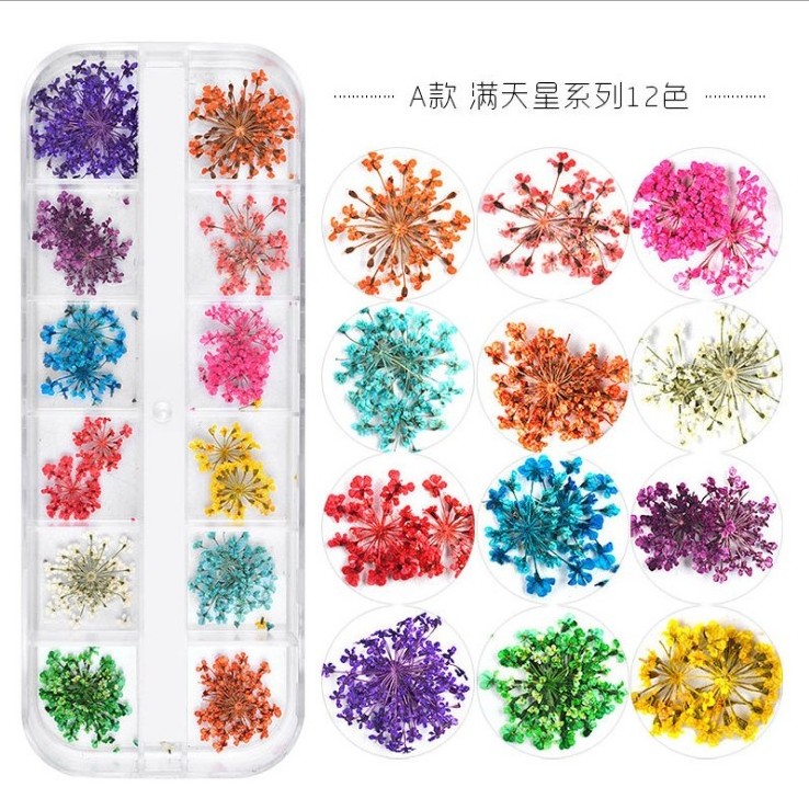 3D Dried Flower Nail Decoration Natural Floral Sticker Mixed Dry Flower DIY Nail Art Decals Jewelry UV Gel Polish Manicure