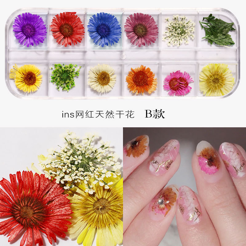 3D Dried Flower Nail Decoration Natural Floral Sticker Mixed Dry Flower DIY Nail Art Decals Jewelry UV Gel Polish Manicure