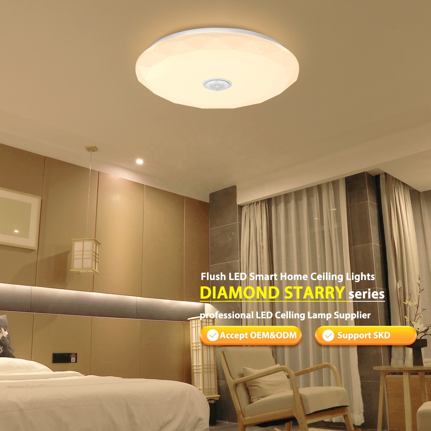 NEW modern cct adjustable triproof acrylic plastic round voice control light flush mount modern LED indoor ceiling light 2024