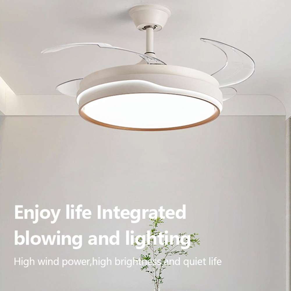 ceiling fan New Furniture Integrated Blowing Lighting Intelligent Timing Remote Control 3-blade Ceiling Fan Light 2024