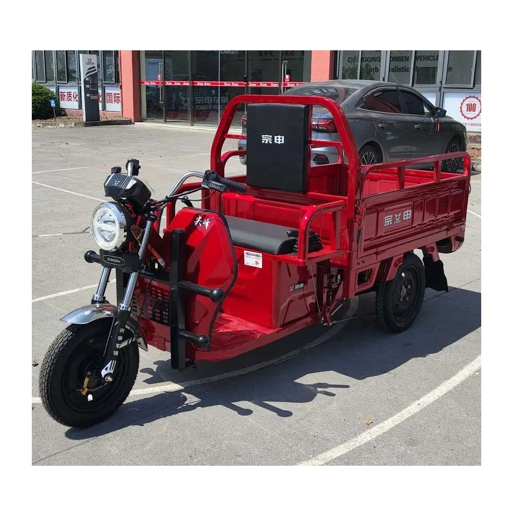 Heavy Carry Load 3 Wheel Electric Tricycle for Delivery Cargo / Tunisia Ghana Algeria 3 Wheeler Dumper Cargo Vehicle Tricycle