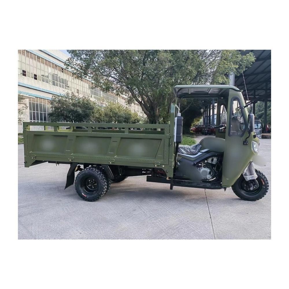 China 300cc Open Three Wheel Automatic Trike for Adults / Petrol Powered 3 Wheel Gasoline Fuel Cargo Motorcycle Tricycle