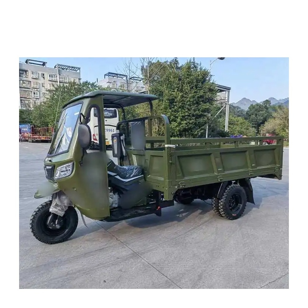 China 300cc Open Three Wheel Automatic Trike for Adults / Petrol Powered 3 Wheel Gasoline Fuel Cargo Motorcycle Tricycle