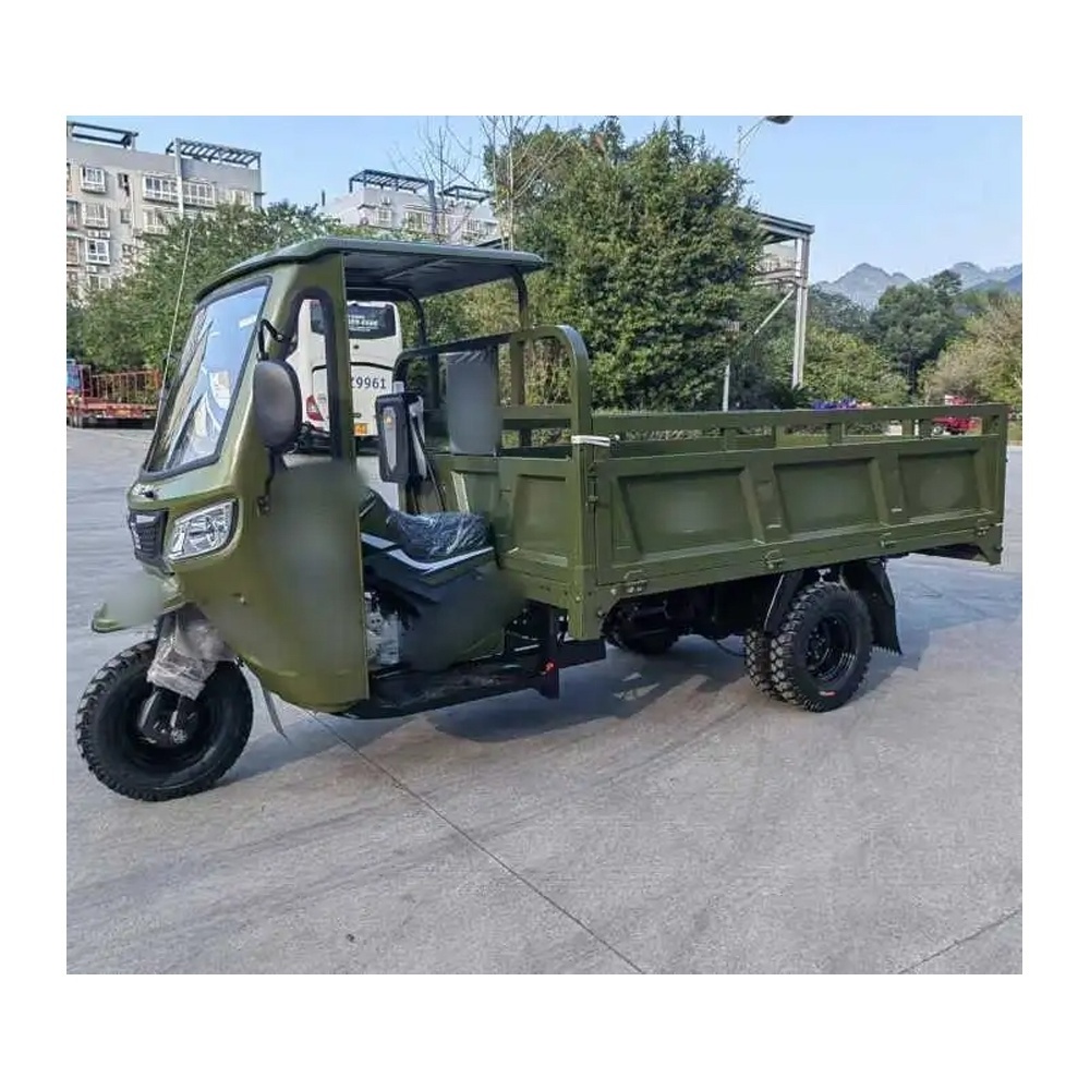 China 300cc Open Three Wheel Automatic Trike for Adults / Petrol Powered 3 Wheel Gasoline Fuel Cargo Motorcycle Tricycle