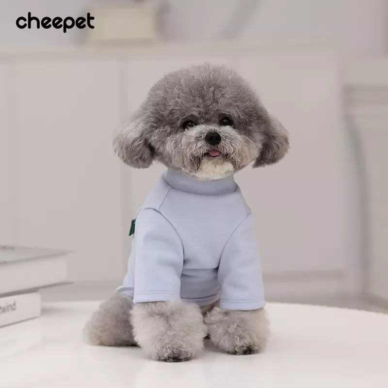 2022 winter pet clothes new design cat sweatshirt dog pet wholesale blank sweatshirt with pocket