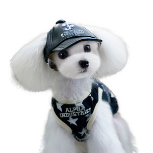 Cheepet Pu Leather Soft Warm Best Selling Pet Winter Hats Dog Baseball Cap For Dogs