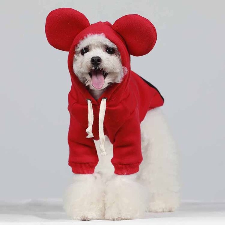 Color Contrast Design Camp Dog Pouch Hoodie Dog Hoodies Plain Pet Clothes