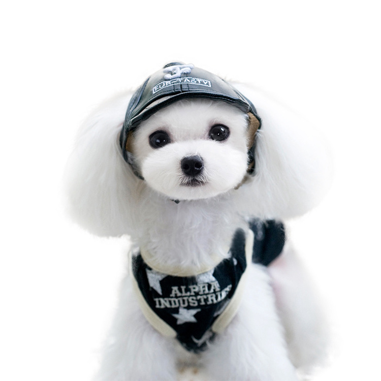 Cheepet Pu Leather Soft Warm Best Selling Pet Winter Hats Dog Baseball Cap For Dogs