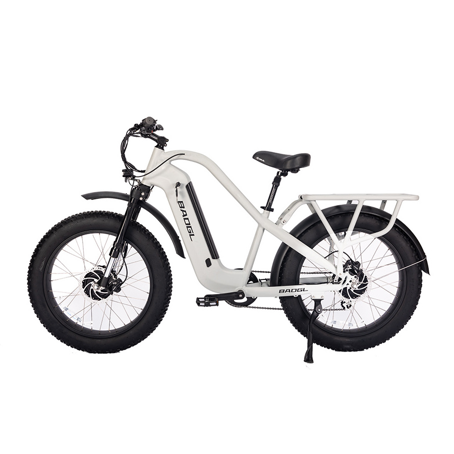 manufacturer specialized tandem fat ebike electric bike mid drive rear wheel road bike bicycle 1000w 48V mountain dirt beach