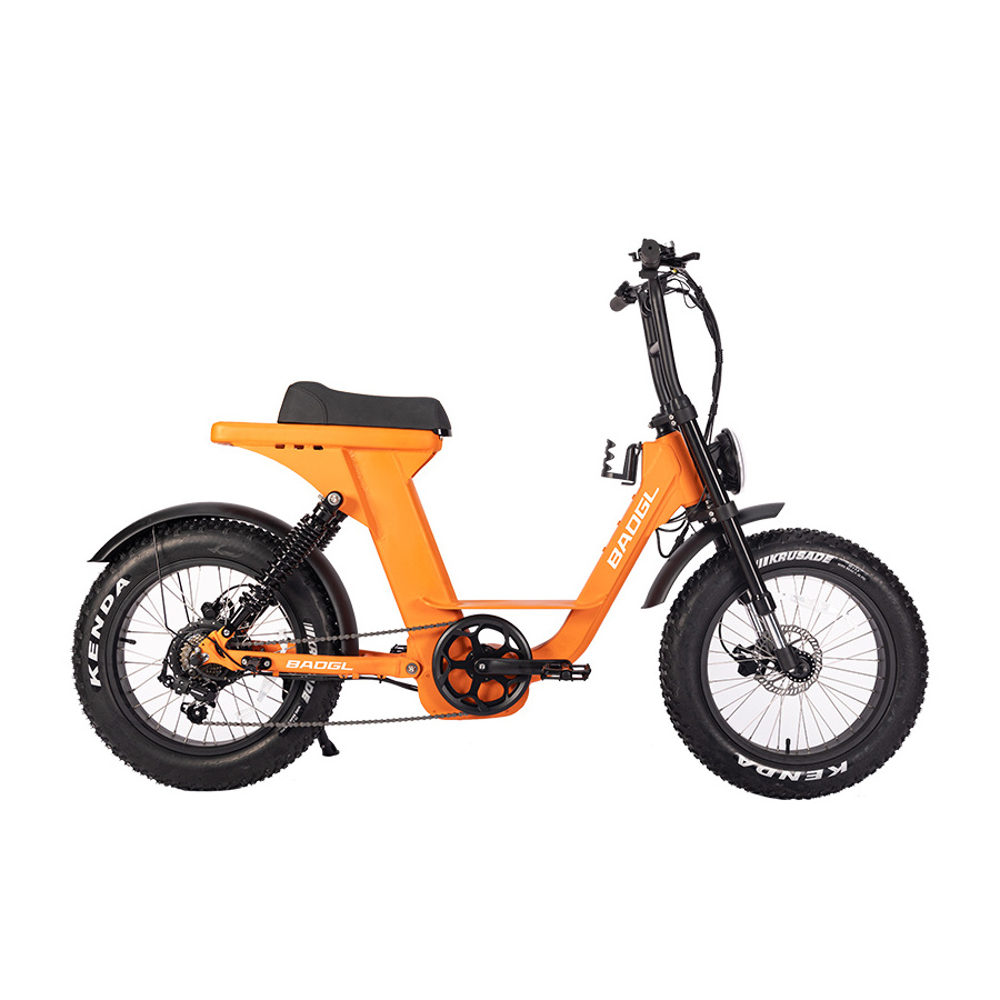 Super 48V 1000W e bike 73 ebike frame Electric Bicycle / mountain dirt Folding fat tire bike for sale