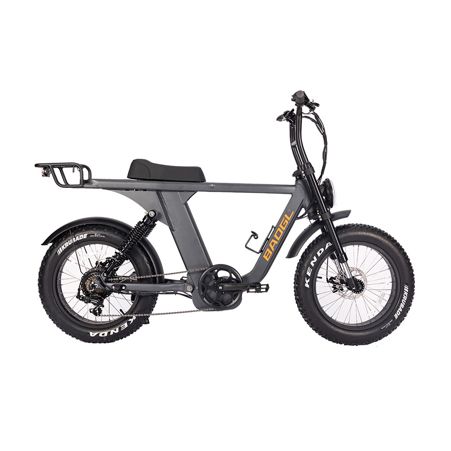 Super 48V 1000W e bike 73 ebike frame Electric Bicycle / mountain dirt Folding fat tire bike for sale