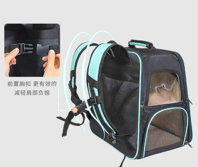 big volume luxury expandable dog cat backpack wheeled trolley pet carrier with detachable trolley