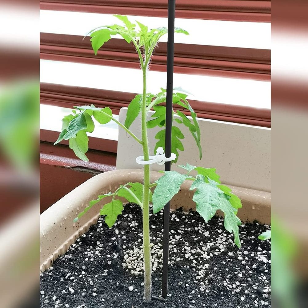 Chemlead Fiberglass Rod Garden Stakes Sturdy Fiberglass Plant Sticks Stakes Supports for Tomato Vegetables, Gardening Supplies