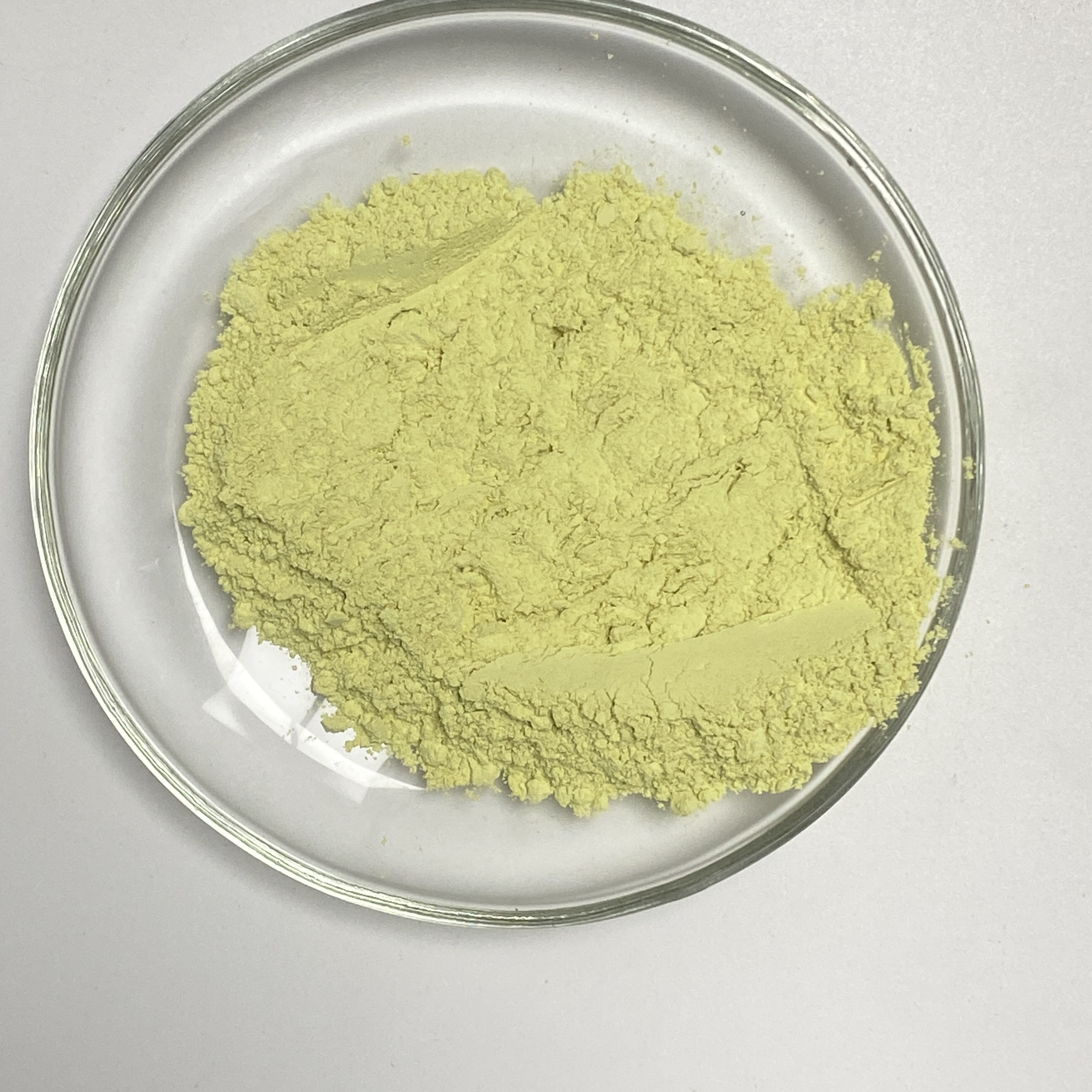 Natural  Rutin Extract Powder Japonica Flower Extract 95% Rutin