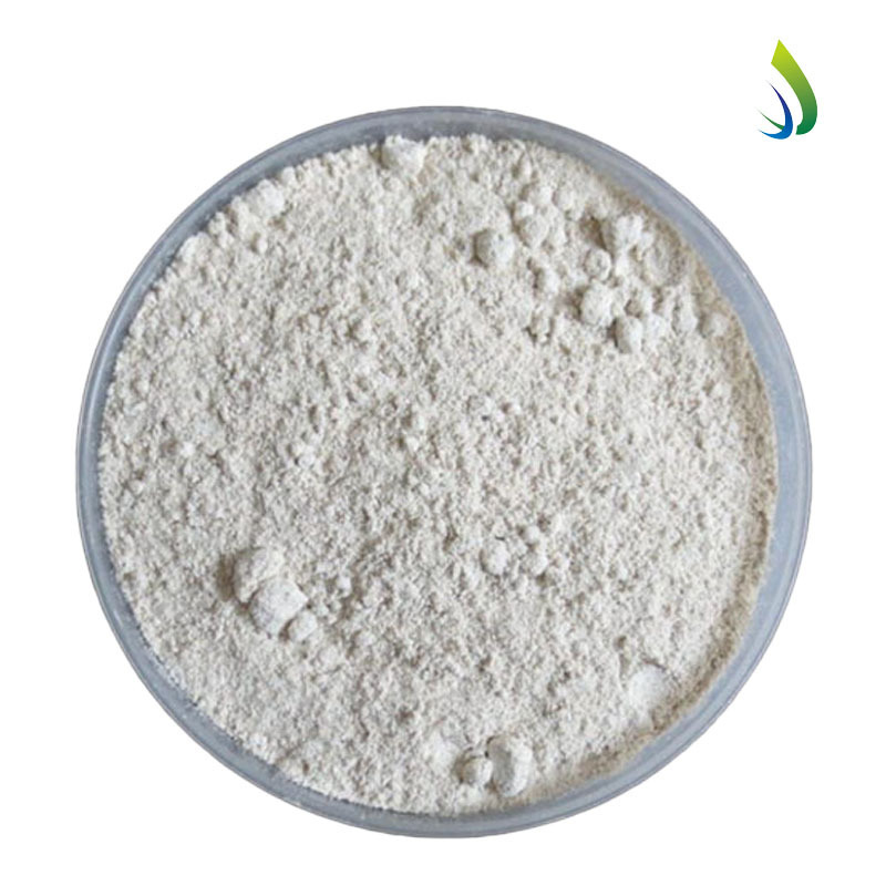 High quality 99% beta-cyclodextrin Hydroxypropyl beta cyclodextrin price