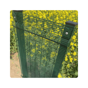 High Security Fence Clearview Galvanized Panels 358 Fence Prison Clear View Anti Climb Fence