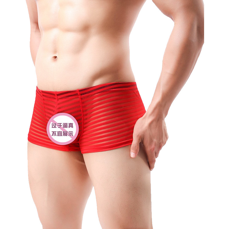 Hot Underwear Men's Shorts Boxers Sexy Transparent Solid Grid Panties