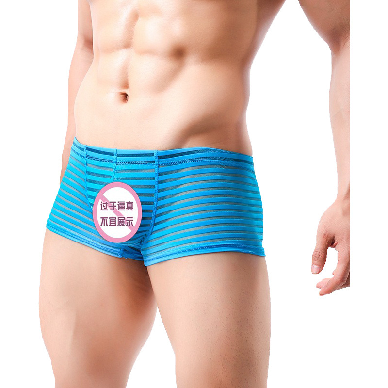 Hot Underwear Men's Shorts Boxers Sexy Transparent Solid Grid Panties