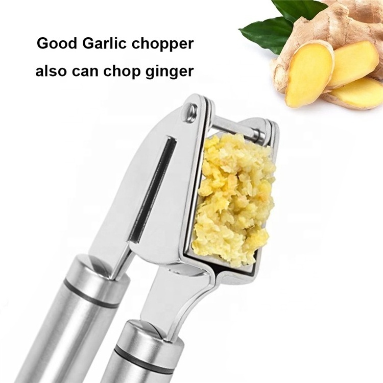 Garlic Press With Cleaning Brush,  Garlic Crusher Mincer Ginger Tools Stainless Steel Garlic Press