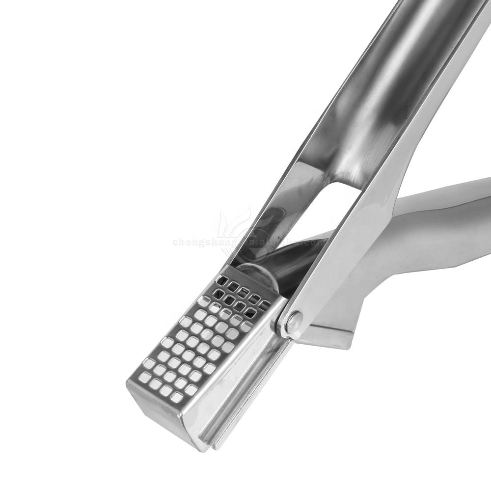 Ginger Chopper Stainless Steel Garlic Press And Garlic Slicer Garlic Press Crusher