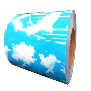 High Strength Steel Sheet in Coil Ppgi Metal Roofing Galvanized Steel Coil/ppgi Color Coated Steel