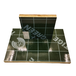 High Grade PVC Green PP Plastic Film Faced Hardwood Plywood Sheet for Concrete Formwork