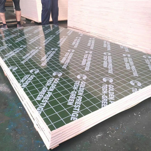 Green Color Anti-Slip PP Pvc Plastic 15mm 18mm green PP plastic coated plywood for concrete formwork