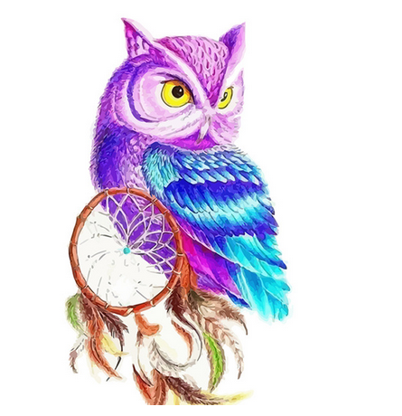 CHENISTORY Owl animals DIY Acrylic oil Painting By Numbers for kids adults Painting canvas diy Picture for living room wall art