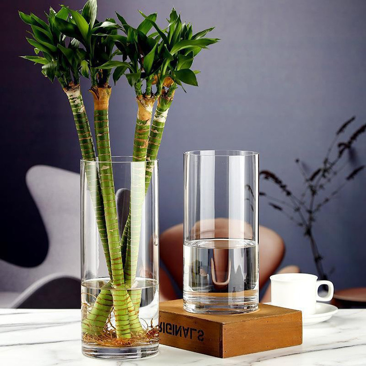 Modern Long Hurricane Glass Bottle Vase Clear Glass Bud Vase For Wedding Centerpieces