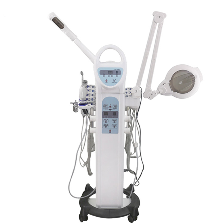 Hot Sell 9 In 1 Multifunction Facial Beauty Machine  facial machines professional