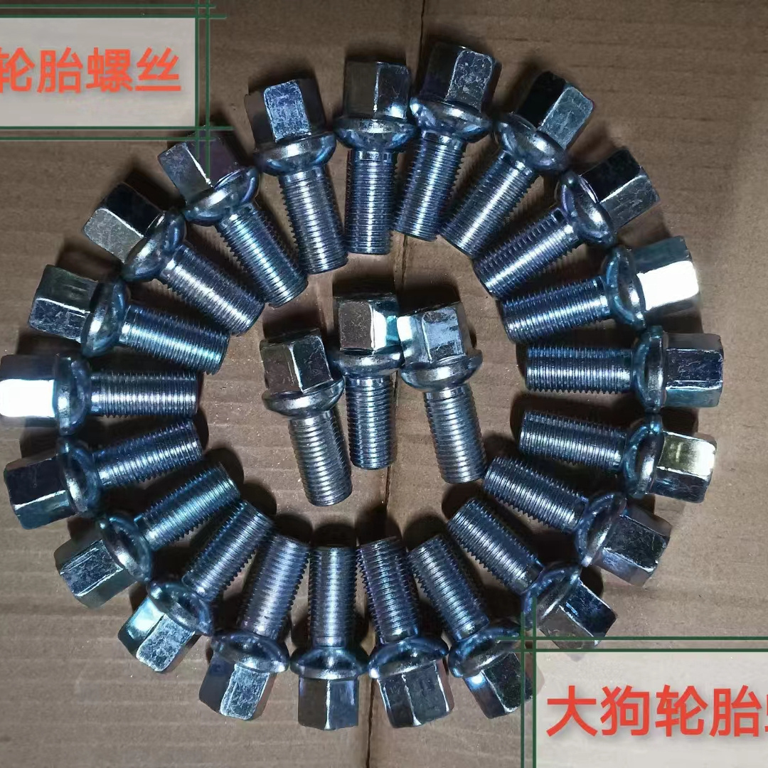 GWM HAVAL DARGO tyre whorl Tire fixing screws