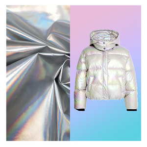 260T pongee 75D*75D 100% polyester Waterproof windproof glitter silver gilding fabric for padded jacket or fashion coat