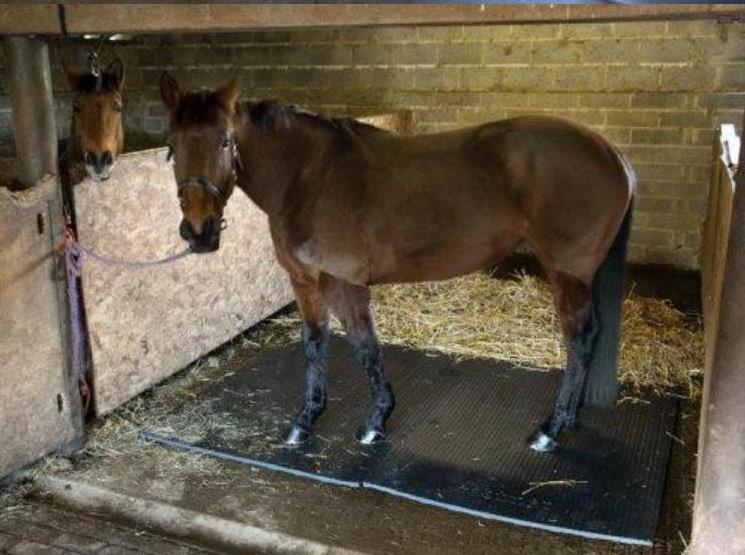 Horse Stall Matting Cow Horse Mat for Horse Cow Pigs Rubber Tile Flooring Sheets