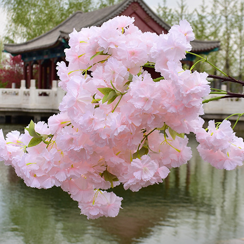 Artificial Cherri Blossom Tree Pink Sakura Branch Silk Diy Artificial Flowers Floral Wall Wedding Decoration Home Outdoor Decor