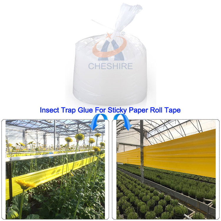 Enhance Electric Pest Control with UV Light Lamp Trap and Adhesive Glue for Trapping Flies, Mosquitoes, and Insects