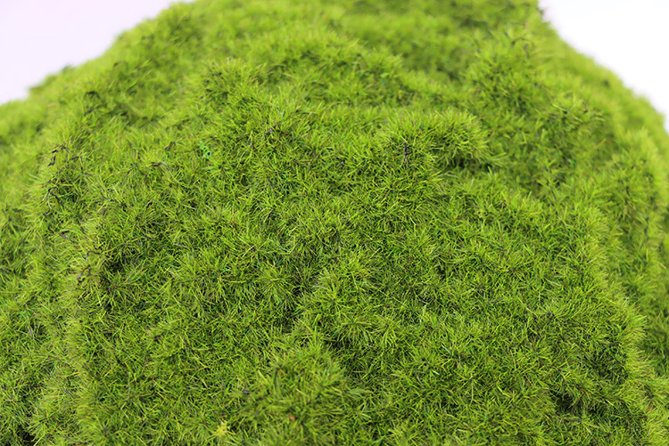 Wholesale Green 30cm Artificial Moss Ball Indoor Decorative Plant Home Garden Ornamental Artificial Marimo Moss Ball