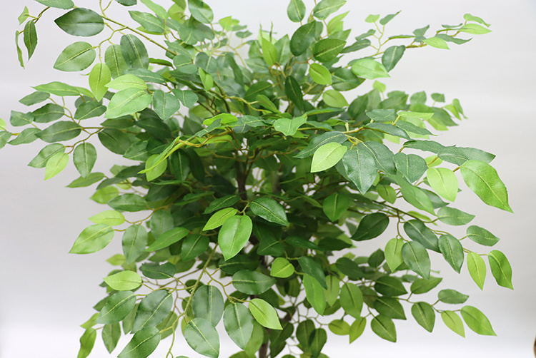 KD PACKING Bright Green Large Artificial Ficus Trees 150cm White Ficus Leaf  Real Touch Ficus  Tree In Plastic Pot