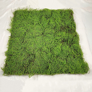 100CM Decoration DIY Decor Indoor Plastic Garden Color Moss Mat Moss Rug Moss  artificial wall grass