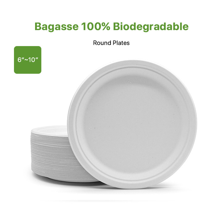 6 7 8 9 10 Inch Sugarcane Bagasse Pulp Compostable Biodegradable Disposable Sugar Cane Natural White Round Paper Plates