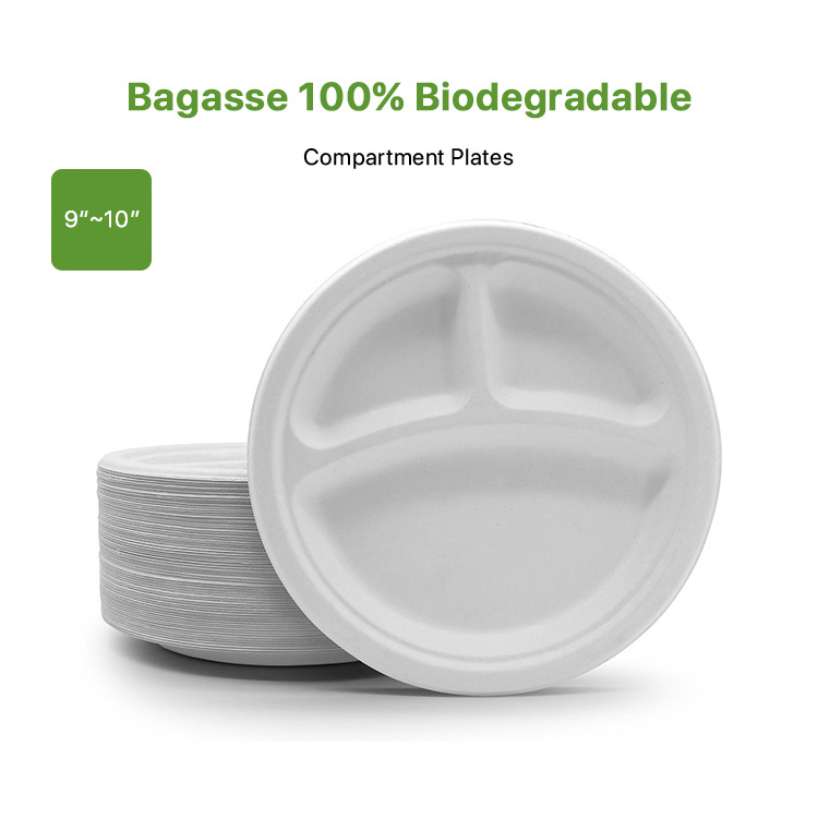 6 7 8 9 10 Inch Sugarcane Bagasse Pulp Compostable Biodegradable Disposable Sugar Cane Natural White Round Paper Plates