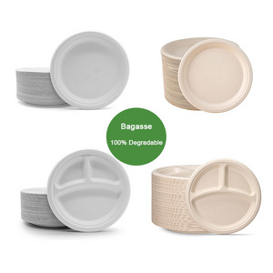 6 7 8 9 10 Inch Sugarcane Bagasse Pulp Compostable Biodegradable Disposable Sugar Cane Natural White Round Paper Plates