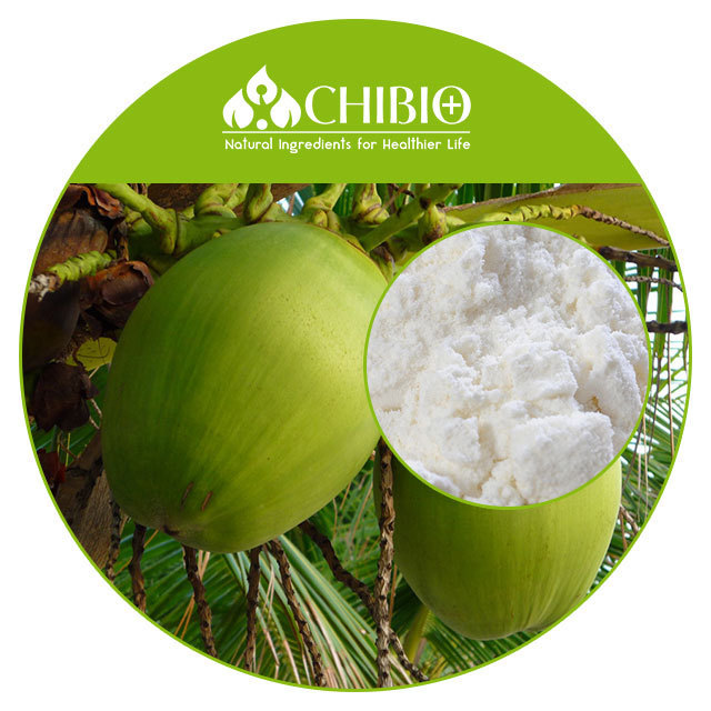 Plant source protein Coconut protein Powder Factory Directly Supply