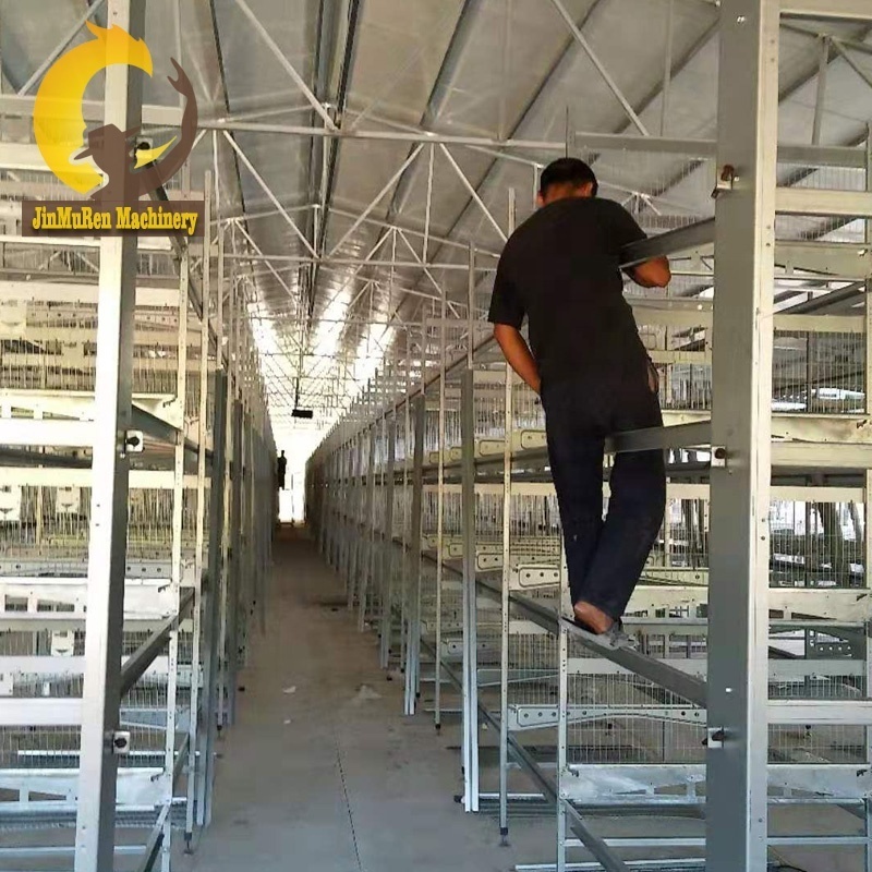 Jinmuren Poultry Farm Equipment Automatic H Type Layer Chicken Cage