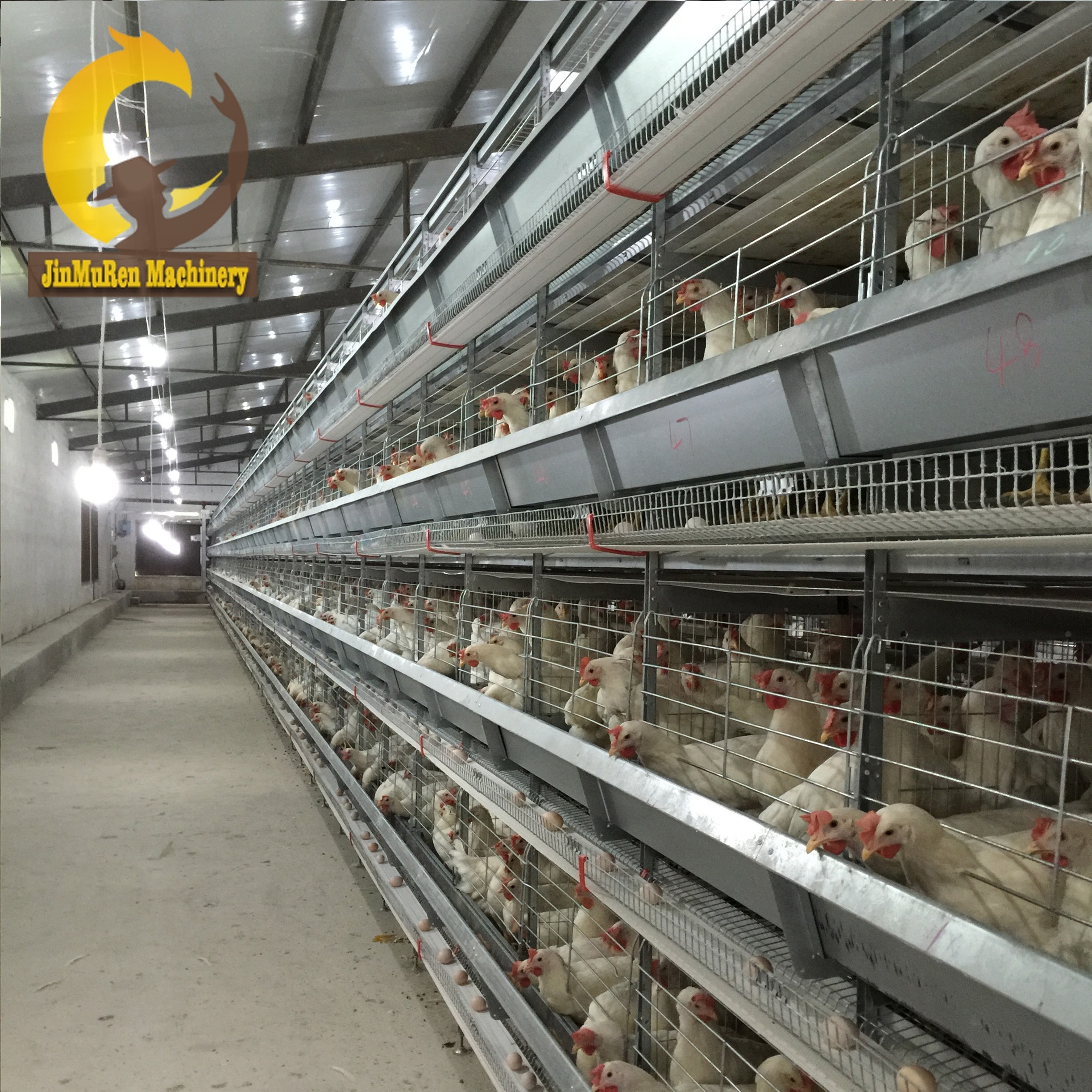 Jinmuren Poultry Farm Equipment Automatic H Type Layer Chicken Cage