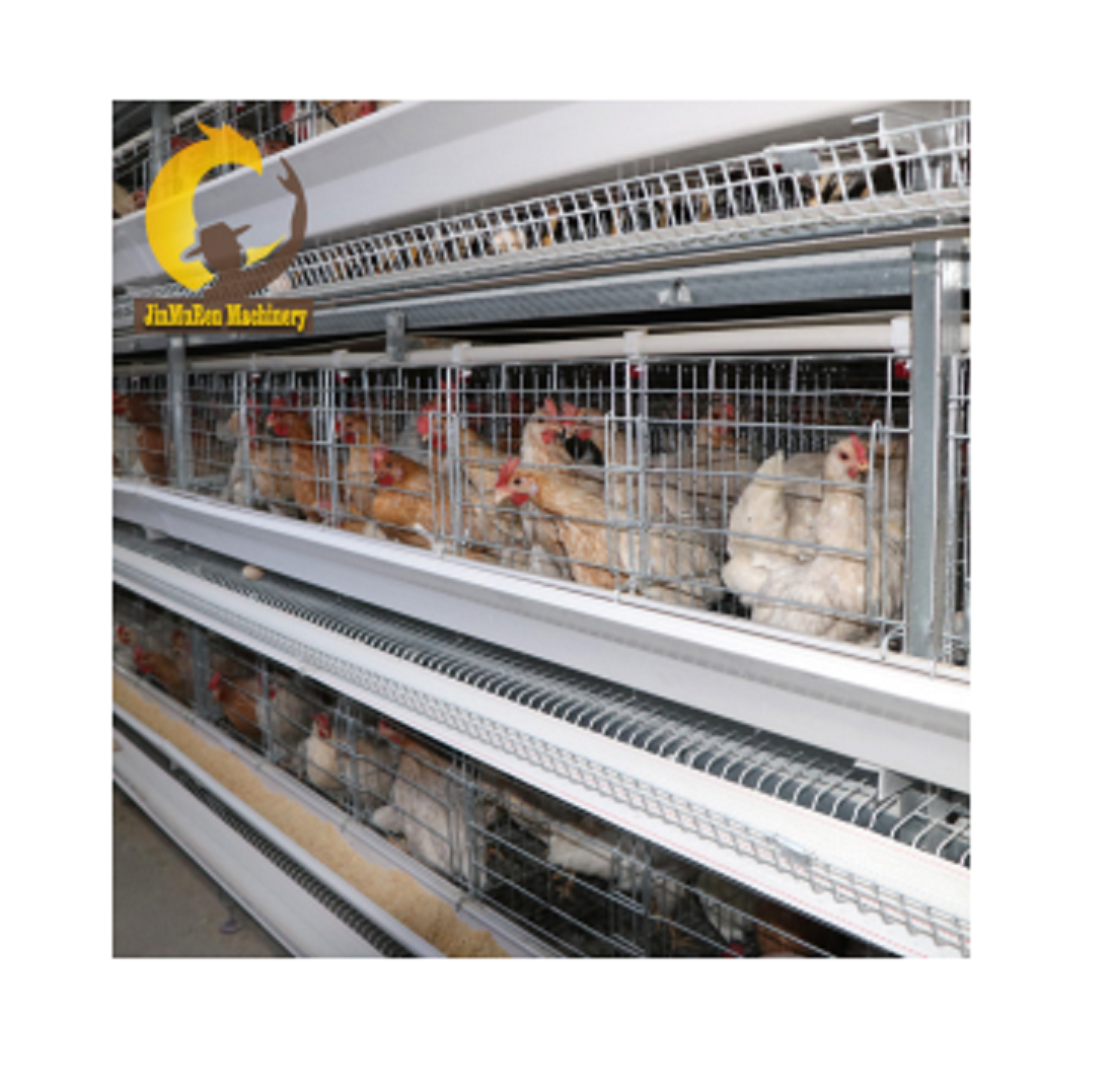 Jinmuren H type 3 tiers poultry farming equipment cage equipment raising 20 000  layer chickens project