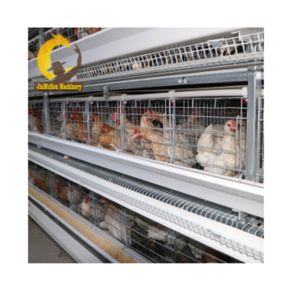 Jinmuren H type 3 tiers poultry farming equipment cage equipment raising 20 000  layer chickens project