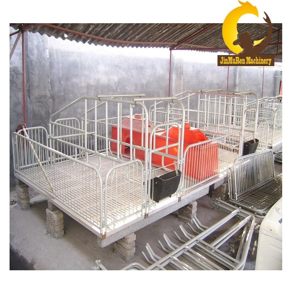 Pig Farming Equipment hot galvanized farrowing crate pig equipment